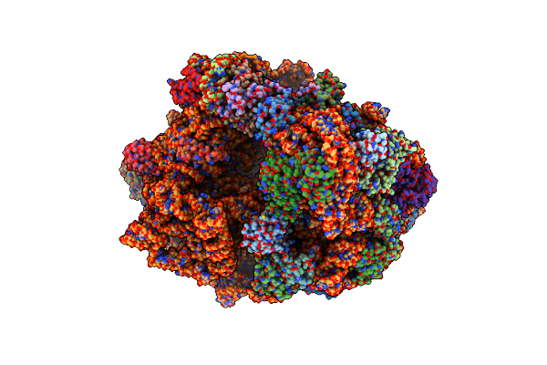 7ASO image