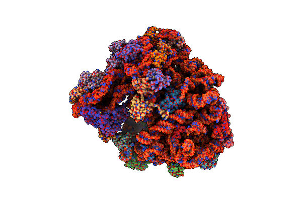 7ASP image