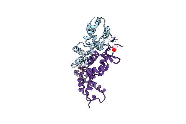 7ASV image