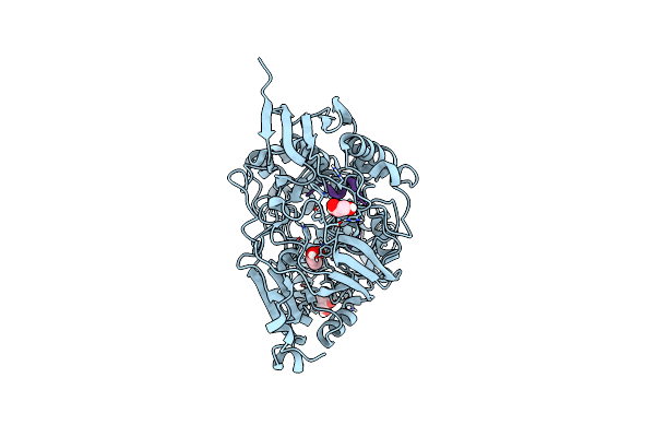 7ATR image