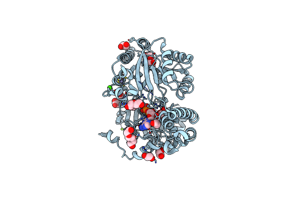 7AUC image