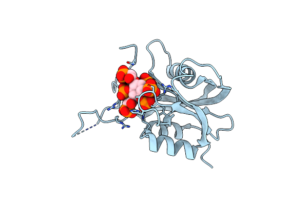 7AUO image