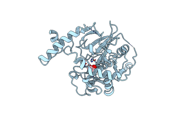 7AVM image