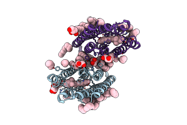 7AVN image