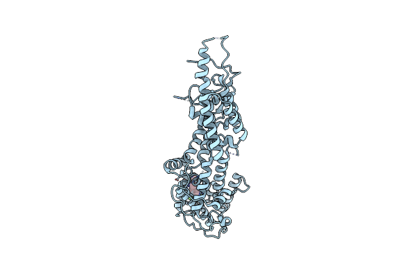 7AVV image
