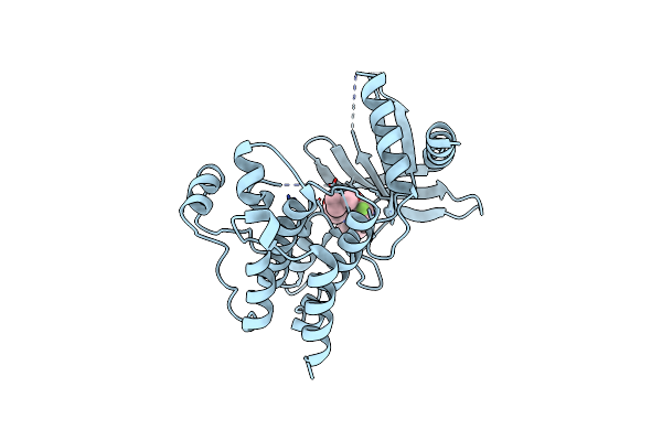 7AVZ image