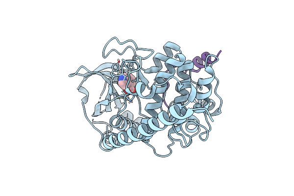 7AXT image