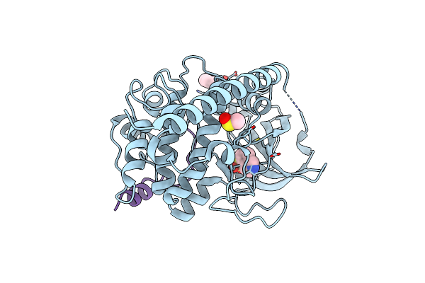 7AXV image