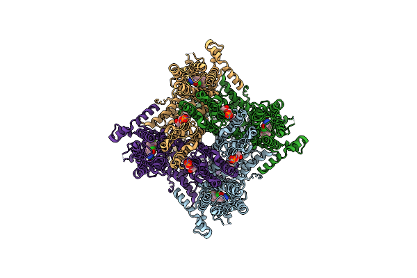 7B05 image