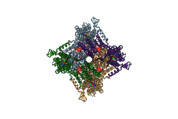 7B16 image