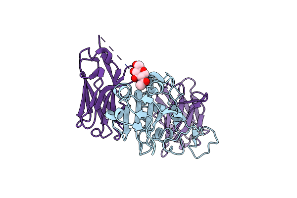 7B17 image