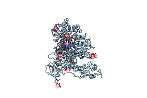 7B19 image