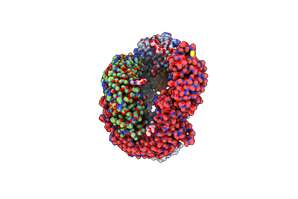 7B1C image