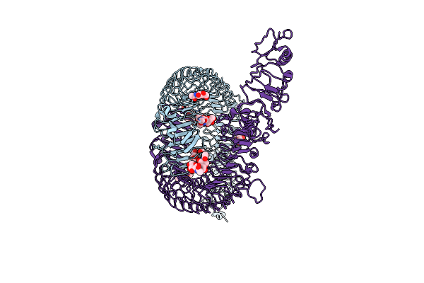 7B1D image