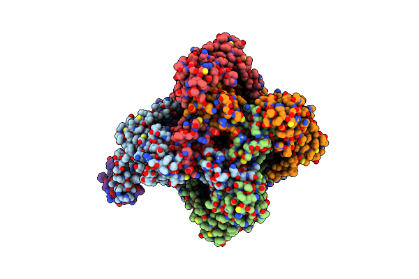 7B1G image