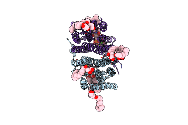 7B1K image