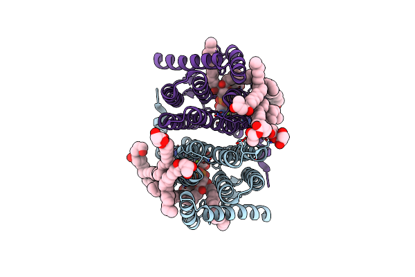 7B1L image