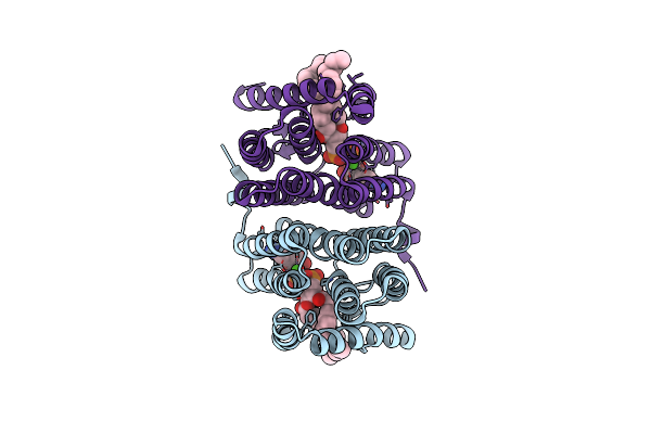 7B1N image