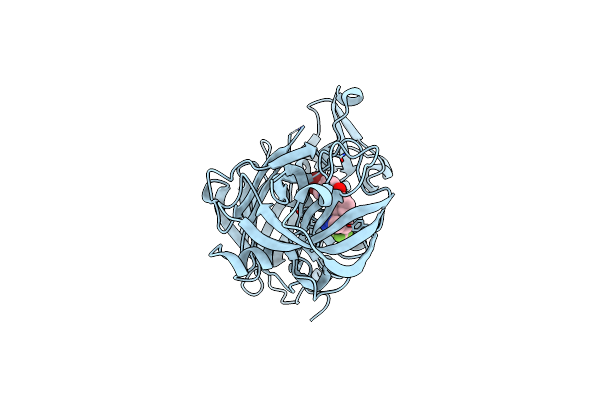7B1P image
