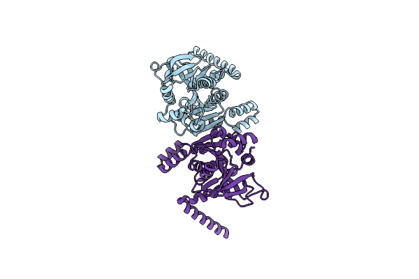 7B1R image
