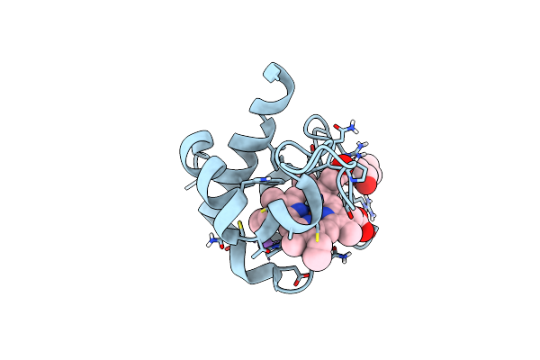 7B21 image