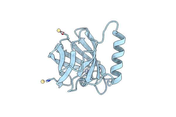 7B29 image