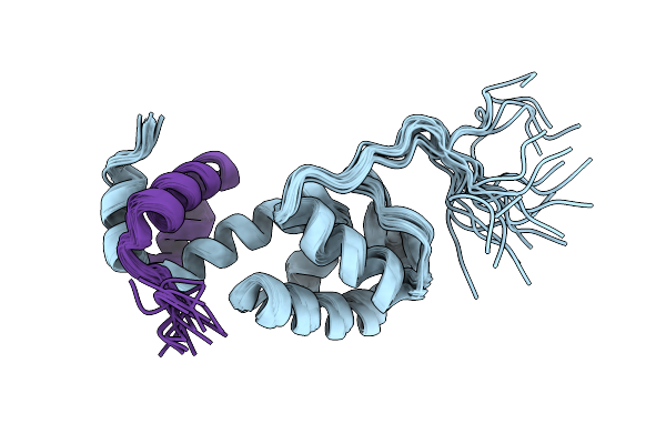 7B2B image