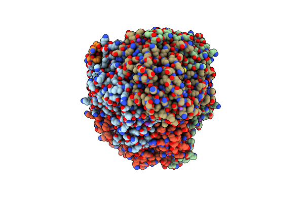 7B2C image