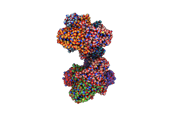 7B2E image