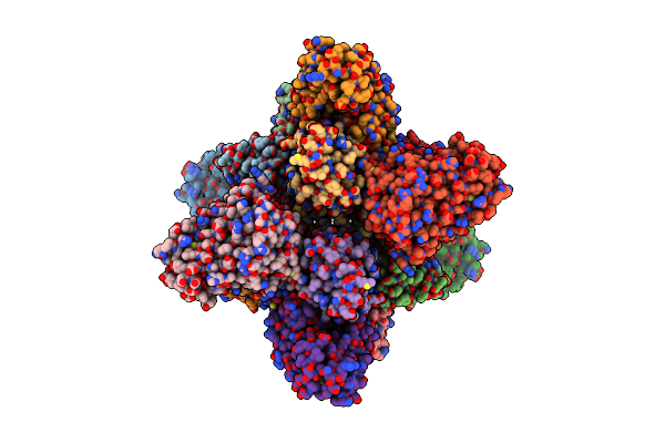 7B2L image