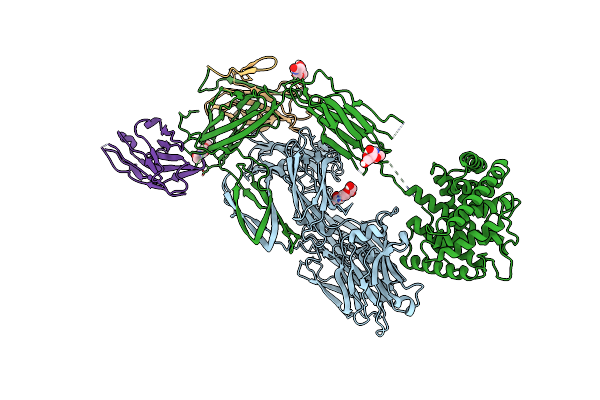 7B2M image
