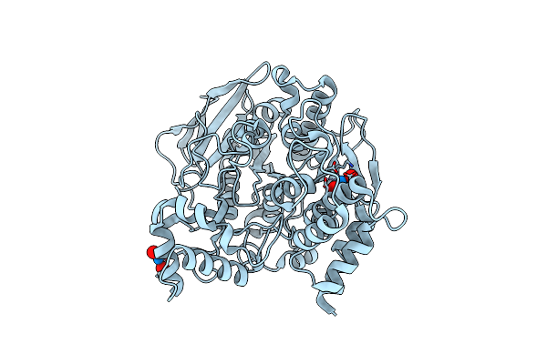 7B2W image