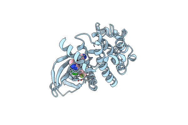 7B31 image