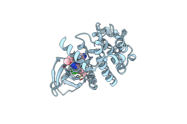 7B32 image