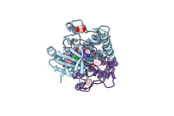 7B36 image