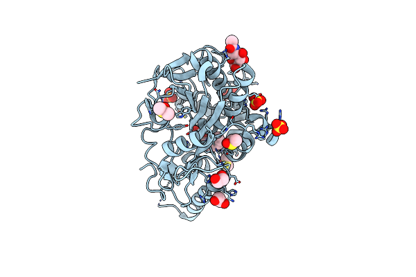 7B37 image