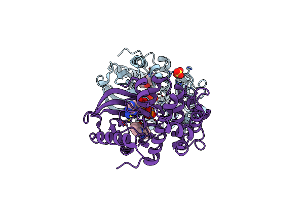 7B3M image
