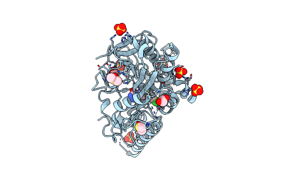 7B3P image