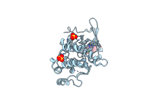 7B3T image
