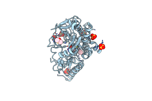 7B3X image