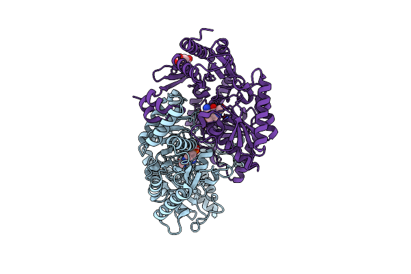 7B4J image