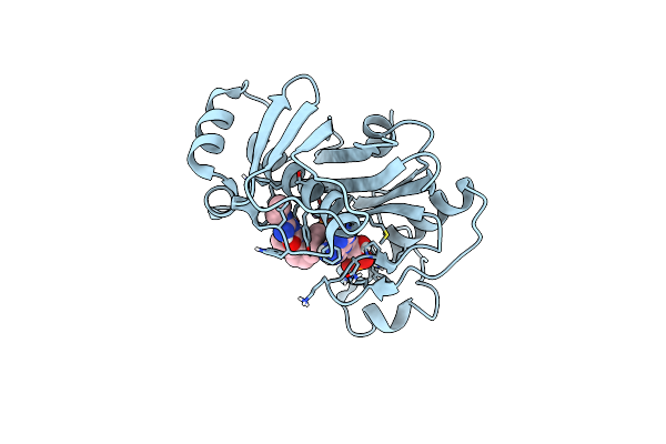 7B4R image