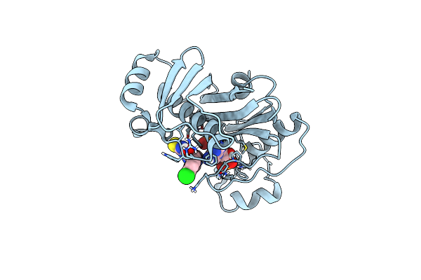 7B4S image