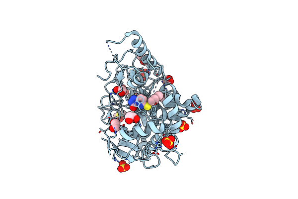 7B4X image