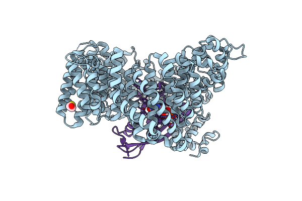 7B51 image