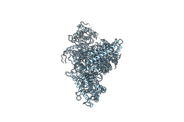7B52 image