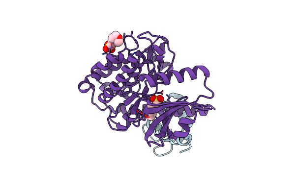 7B55 image