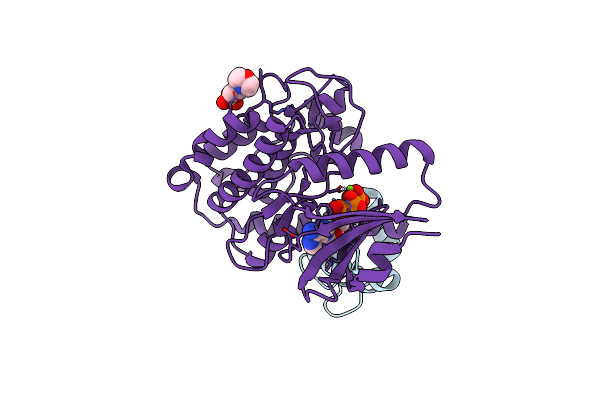 7B56 image