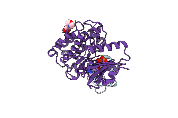 7B57 image