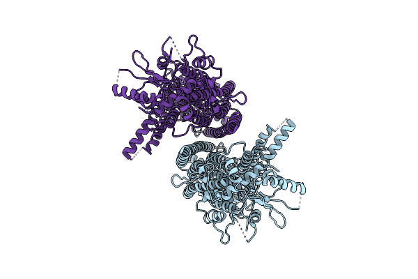 7B5D image